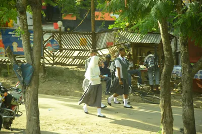 DSC_7751 (Large).JPG